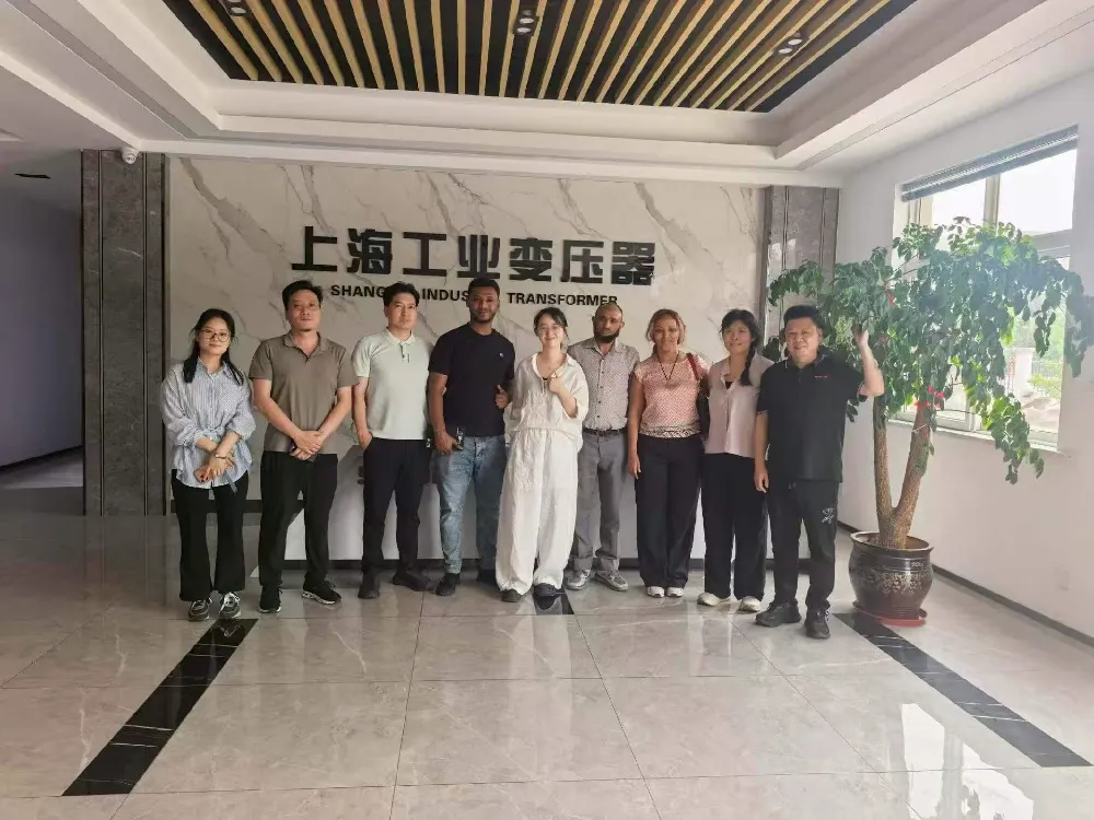 Vitajte! Etiópska delegácia navštevuje Shanghai Industrial Transformer Co., Ltd. na výmenu transformátorov a zariadení na distribúciu energie